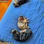 Keyshawn West Profile Picture