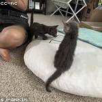 Garth Oberbrunner Profile Picture