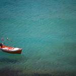 Roselyn Reynolds Profile Picture