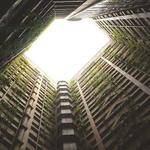 Romaine Nitzsche Profile Picture