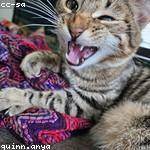 Gina Miller Profile Picture