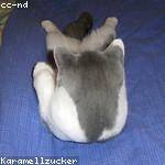 Bobby Kautzer Profile Picture