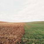 Stone Graham Profile Picture