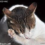 Andy Schultz Profile Picture