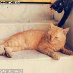 Rosamond Tremblay Profile Picture