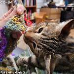 Garfield Purdy Profile Picture