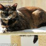 Kelly Kulas Profile Picture