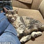 Jeramy Schaefer Profile Picture