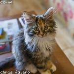 Otis Reichert Profile Picture