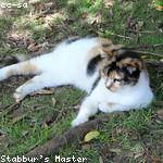 Mable Jacobs Profile Picture