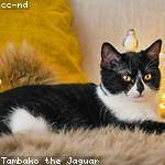 Ardella Schroeder Profile Picture