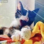 Orpha Abbott Profile Picture