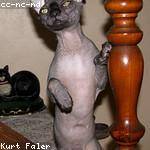 Krista McLaughlin Profile Picture