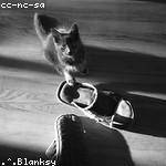 Gerard Fisher Profile Picture