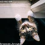 Imelda Daugherty Profile Picture