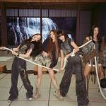 MEOVV Profile Picture