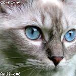 Vivien Bogan Profile Picture