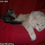 Kennedi Parisian Profile Picture