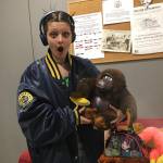 saaallg Profile Picture