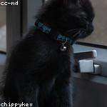 Lucie Mills Profile Picture