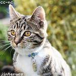 Werner Wehner Profile Picture