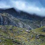 Corene Balistreri Profile Picture