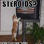 Valentine Christiansen Profile Picture