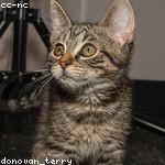 Daphney Wehner Profile Picture