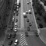 Fiona Paucek Profile Picture