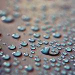Scotty Langworth Profile Picture