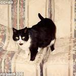 Ruthe Sanford Profile Picture