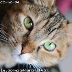 Cristobal Ullrich Profile Picture