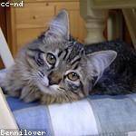 Ocie Jacobs Profile Picture