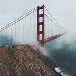 Marlee Willms Profile Picture