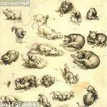 Alessandro Paucek Profile Picture