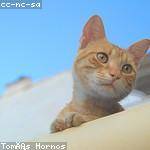 Sasha Lockman Profile Picture