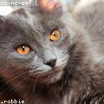 Faye Feest Profile Picture