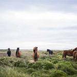 Ricky Rogahn Profile Picture
