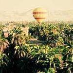 Estell Blick Profile Picture