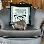 Edwina Thiel Profile Picture