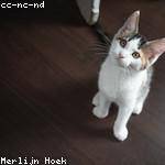 Burley Bins Profile Picture
