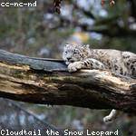 Rubye Parisian Profile Picture