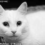Eulah West Profile Picture
