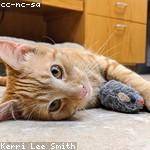 Reilly Sipes Profile Picture