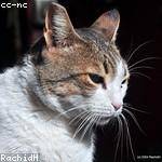 Karen Grant Profile Picture
