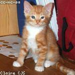 Destinee Durgan Profile Picture