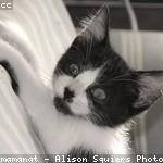 Rosalee Nicolas Profile Picture