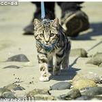 Petra Dickens Profile Picture
