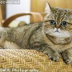 Stella Larson Profile Picture