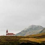 Lina Schaefer Profile Picture